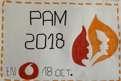 PAM1